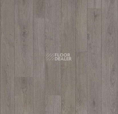 Линолеум Forbo Eternal Wood 13412 shadow oak фото 1 | FLOORDEALER